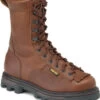 Rocky Men's BearClaw3D Insulated GORE-TEX Outdoor Boots -Western Cowboy World 035322 41 P1