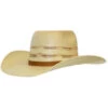 Ariat Boys' Straw Twister Western Hat -Western Cowboy World 2000350285 280 P1