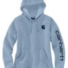 Carhartt Women's Clarksburg Logo Graphic Hoodie -Western Cowboy World 2000369256 450 P1
