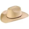 Atwood Hat Co. Kids Natural Palm Leaf Western Hat -Western Cowboy World 282A70 19 P1